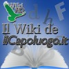 Online su Wiki la prima enciclopedia dedicata a L’Aquila