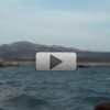 G8 Maddalena: cariche esplosive per la diga, nell’area protetta (video)