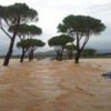 CAMBIAMENTI CLIMATICI E VULNERABILITÀ DEL TERRITORIO, I NUMERI ITALIANI