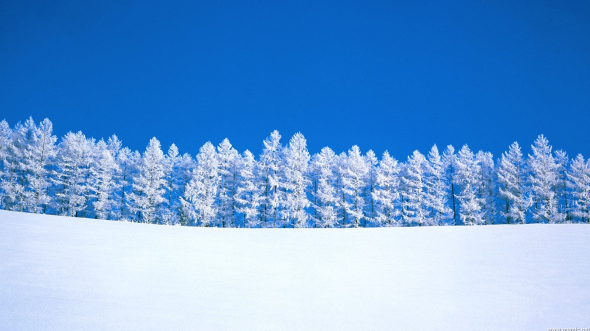 alberi_neve_gelo