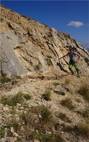 Frattura cosismica alla base del piano di faglia sul Monte Vettoretto.